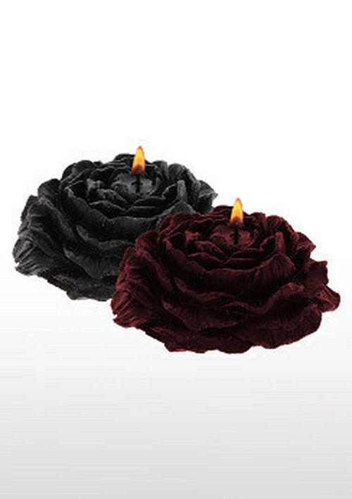 Drip candle Roos 2 stuks