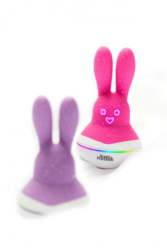 Lapin Coquin 2 Disco